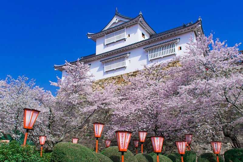 津山城 鶴山公園 は桜名所 岡山県屈指の超おすすめ花見スポット 岡山県 トラベルjp 旅行ガイド