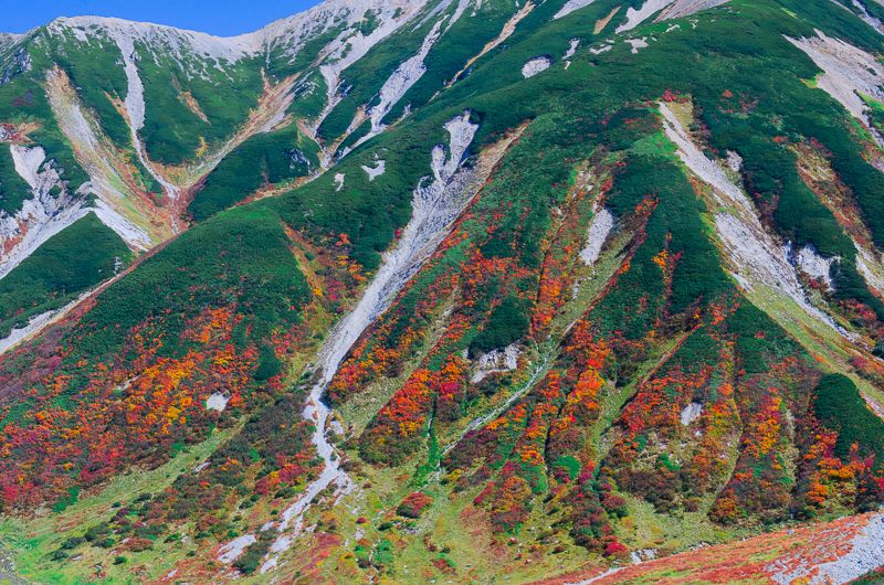 立山 室堂は紅葉の名所 富山県が誇る秋の大絶景が美しすぎる 富山県 トラベルjp 旅行ガイド