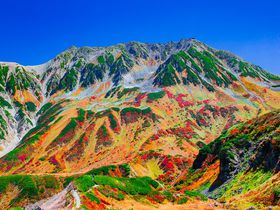 立山・室堂は紅葉の名所！富山県が誇る秋の大絶景が美しすぎる！
