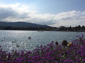 ߂Ă[bp̕iɁI`[qPX̋LTlC