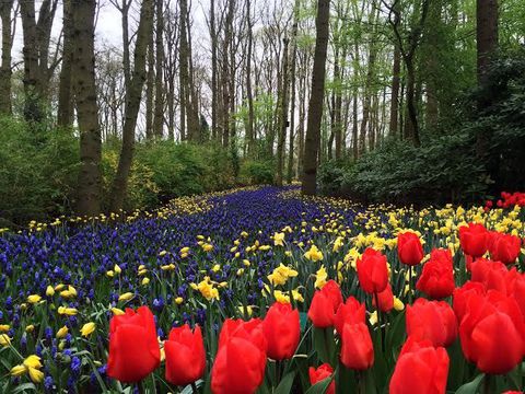 4�����x�X�g�V�[�Y���̊C�O���s�� ��������10�I�y2026�z�̋L���T���l�C��