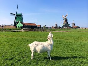 I_̏tւI킢ԑwU[Z XJXx̋LTlC