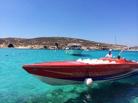 �D�����ɕ����I���E�ō����x���̓����x�I�}���^�E�u���[���O�[���̋L���T���l�C��