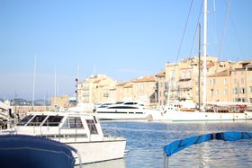 ���C��Ղލ`���ł������ȃo�J���X���I�앧�T���E�g���؂̋L���T���l�C��