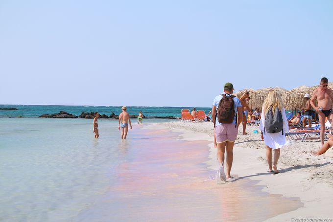 ピンクの砂浜に秘境ラグーン ギリシャ クレタ島の二大ビーチ ギリシャ Lineトラベルjp 旅行ガイド