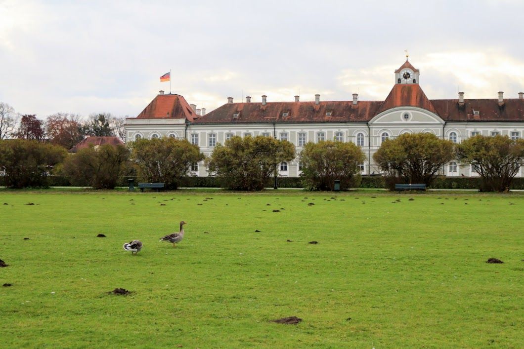 �ߌ�P���F�g�����ɏ���ăj���t�F���u���N�{�a��