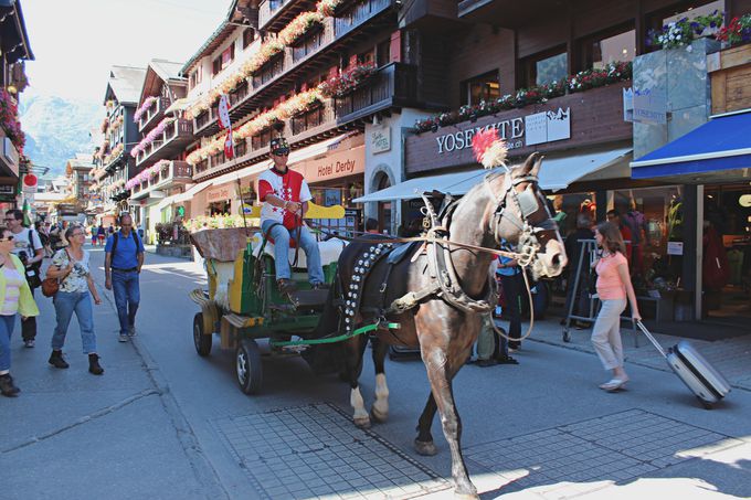 17�D�c�F���}�b�g