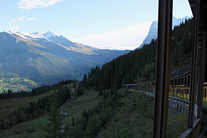 �R�̓o�R��Ԃ����p���u���[���b�p�̉����v��ڎw���I