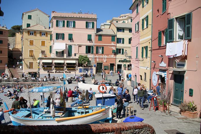 ANZXł֗IWFmoɂ`u{bJ_bZv