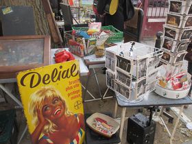 pňԃIXX̔a̎su@v100yI̋LTlC