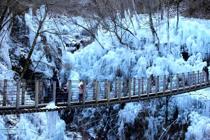 �݂苴����]�ޕʐ��E�u���m���S�i�i��������`�j�X���v