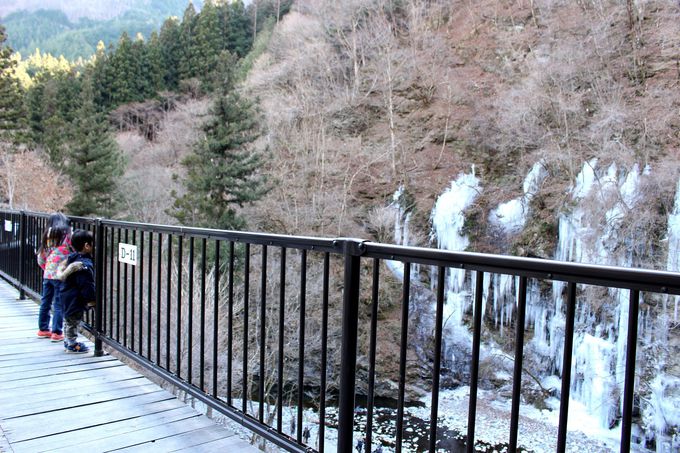 �E�b�h�f�b�L����̊ӏ܂��\�I