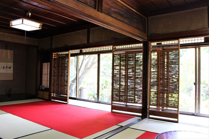 z100NȏI؍ޏȂł̗͂hȗ