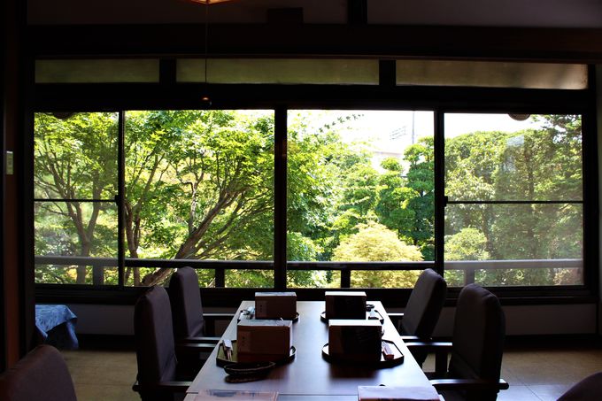 z100NȏI؍ޏȂł̗͂hȗ