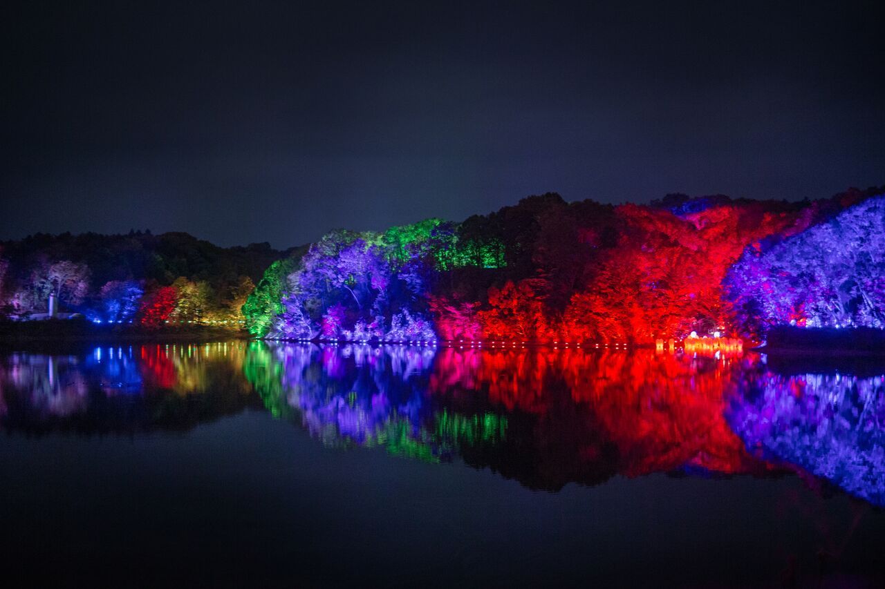 飯能・メッツァビレッジ「チームラボ 森と湖の光の祭」湖が光のアートに包まれる