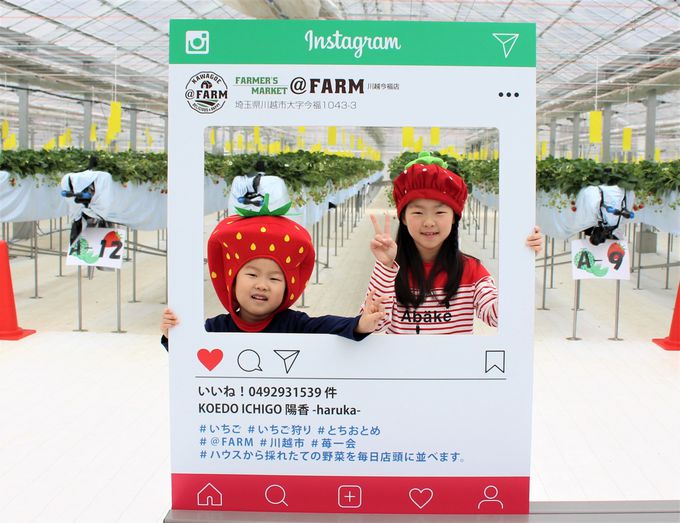 川越観光にプラス Farm でいちご狩り体験 埼玉県 Lineトラベルjp 旅行ガイド