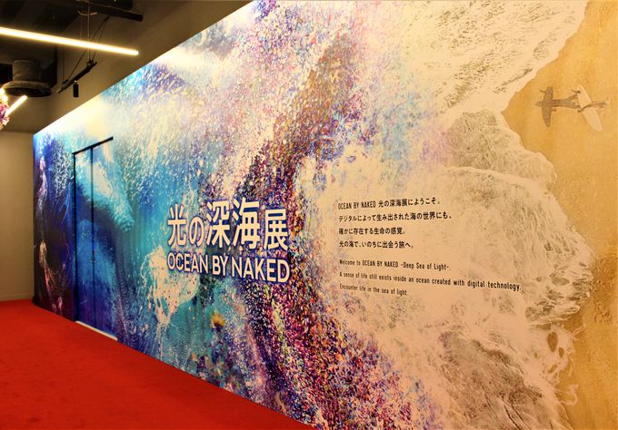 uOCEAN BY NAKEDiI[VoClCLbhj̐[CWv