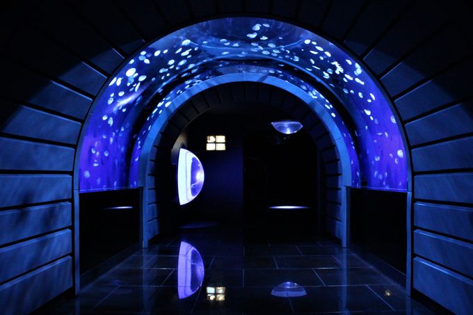 lXȎd|ɊI炰̐E̊悤