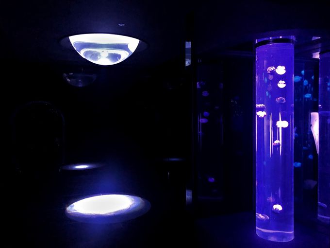 lXȎd|ɊI炰̐E̊悤