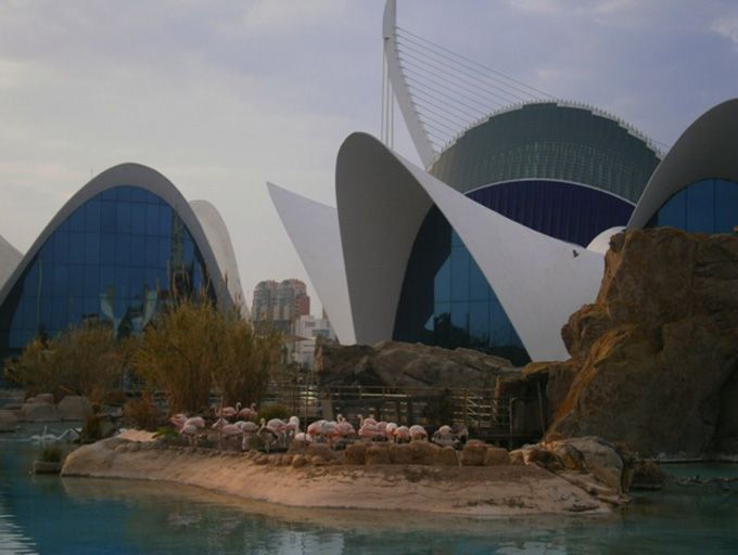 欧州最大級の水族館「オセアノグラフィック」