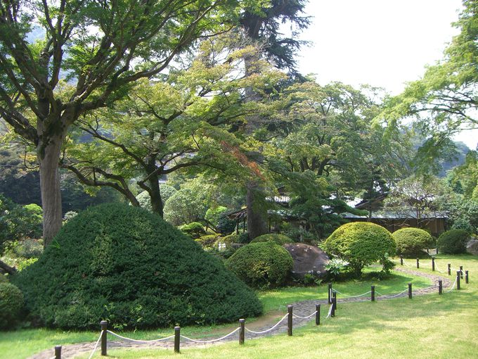 国登録有形文化財の旧岩崎家別邸を散策