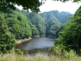竜神峡でカヌー体験in茨城〜水上散歩でしか見られない景色！