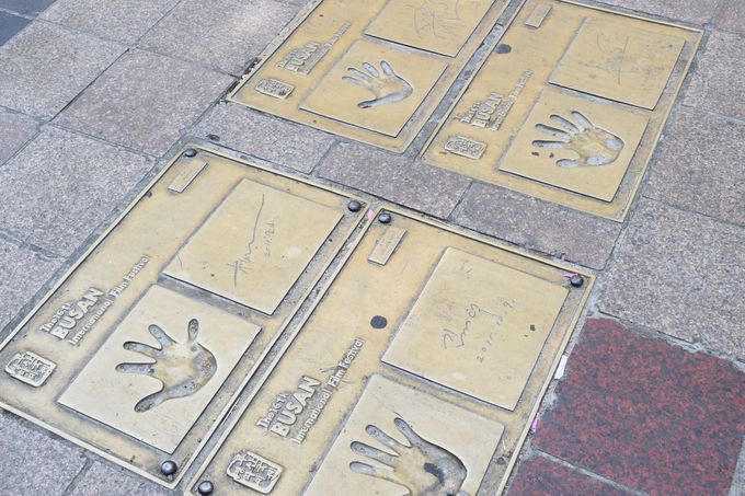 BIFF�L��́AB���t�[�h�̉���V���I