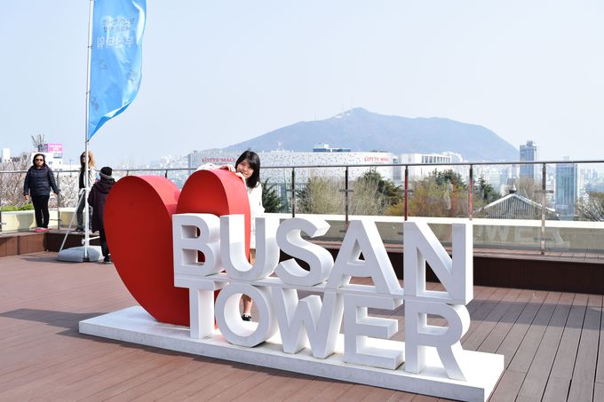 ����118���I���R�̃V���{���u���R�^���[�v