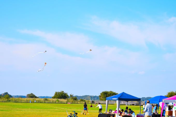 �n���̃\�E���t�[�h�Ƃ��Ē蒅�I������R���b�P