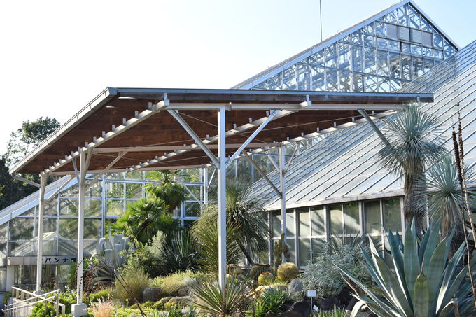 学びながら癒される 茨城県 国立科学博物館 筑波実験植物園 茨城県 トラベルjp 旅行ガイド