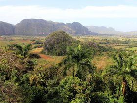 L[o̍Irj[XkJŐŜtbV̋LTlC