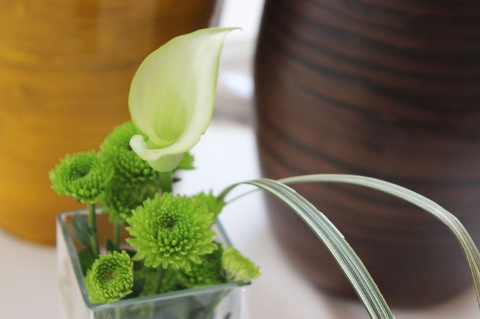 ~VEKChfڂ̂RX^[zẽ݂Xg