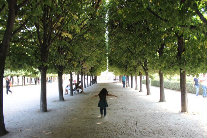 �p���s�����e���u�p���E�����C�����뉀�v�𔲂���