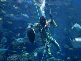 �Ȃ܂͂��������ɁI�H�~�̏H�c���I�j��������GAO�֗V�тɍs�����I�̋L���T���l�C��