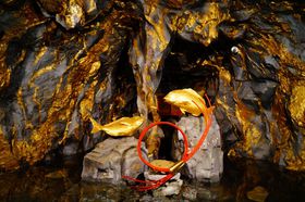 ̉wŋRT!?啪csủw ␶Rv̋LTlC