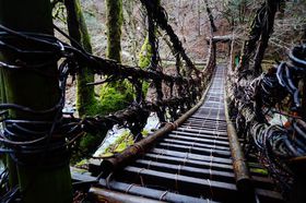 ODsŗdɉ!?뒿RI̋LTlC