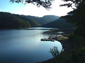 �L�c�s�̊ό��X�|�b�g8�I�I�厩�R�Ɉ͂܂ꂽ�L�����̋L���T���l�C��