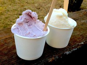 �L�c�s�E���R�u�����̗��v�֎��R���O�������i�h���C�u�I�����Ƃ̂��o�����ɂ��������߁�̋L���T���l�C��