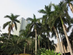 ������}�j���I�Ő�[�X�|�b�g�E�A�����Z���^�[��V�ѐs�����I�̋L���T���l�C��