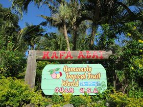 �O�A���u�n�}���g�E�g���s�J���t���[�c���[���h�v�ŃG�R�̌��I�̋L���T���l�C��