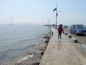 ���[�[���т�����I�؍��E�ϕ}���i�`�F�u�h�j�̊C�����ꂽ�I�̋L���T���l�C��