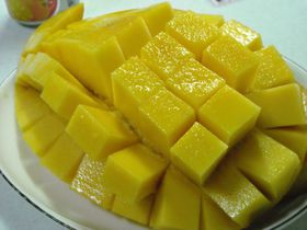 �T�����炪�{�I�����̖��킢�E��p�}���S�[���X�C�[�c�T�I�̋L���T���l�C��