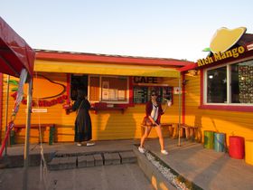 �؍��E�ϏB���Ń}���S�[�Ɨ[�z�����\�I�u���b�`�}���S�[�v�̋L���T���l�C��