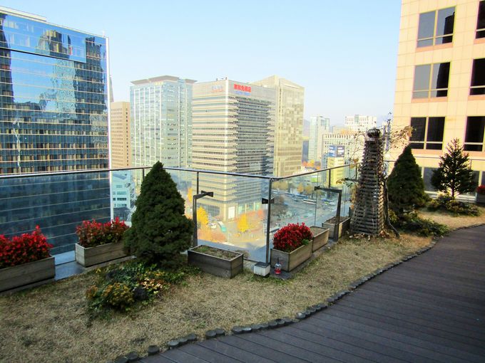 古くて新しい 昔も今もソウルの定宿 ニュー国際ホテル 韓国 Lineトラベルjp 旅行ガイド