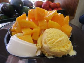 �i�v�ۑ��ŁI��k�ł����߂̃}���S�[�����X ���I15�X�̋L���T���l�C��