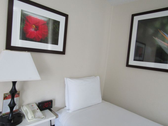 ͂ǂ܂ł@\IInCAȃrWlXze