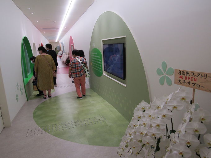 �u�݂邭�\�� �����ρv�̐����H�������w