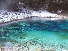 �����ē~�ɍs���A���E��Y�A�����u��ˍa�v�̔��i�ɑ���ۂނ̋L���T���l�C��