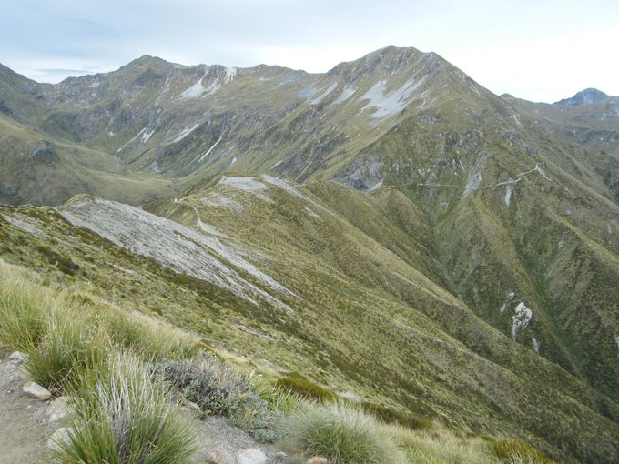 登山好きにお薦め ｎｚのケプラートラックで稜線歩き ニュージーランド Lineトラベルjp 旅行ガイド