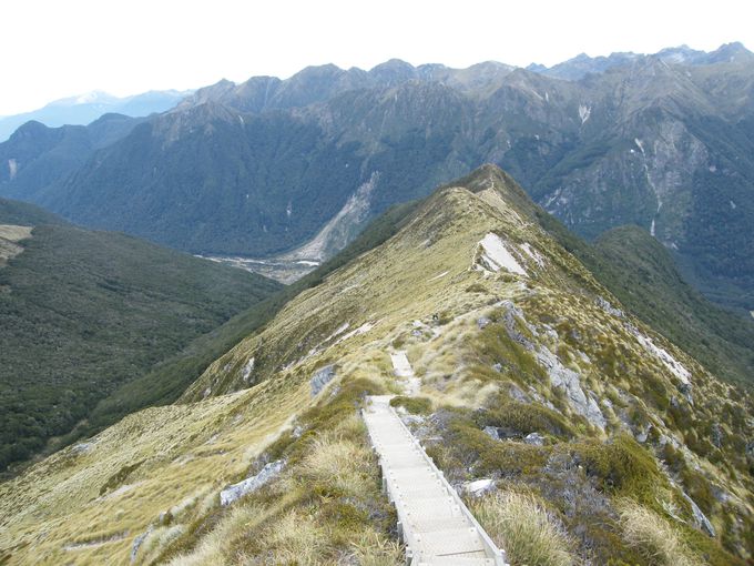 登山好きにお薦め ｎｚのケプラートラックで稜線歩き ニュージーランド Lineトラベルjp 旅行ガイド